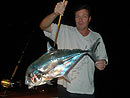 African Pompano from the Similan Islands.