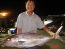 Nice size Amberjack.