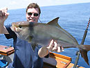 Amberjack on a live-aboard trip.