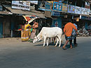 Port Blair - Andaman Islands.