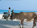 Andaman Islands - India.