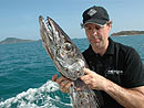 Barracouta on a live-onboard trip.