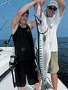 Andaman Island Barracuda.