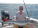 Barracuda caught near Phuket.