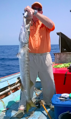 Barracuda caught on a jig.