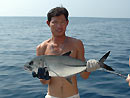 Bigeye Trevally from the Andaman Islands.