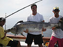 Black Marlin from the Similan Islands.