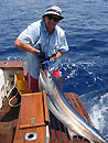 Black Marlin.