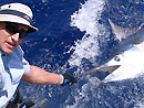 Black Marlin from the Similan Islands.