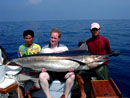 Black Marlin from the Similan Islands.