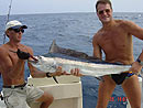 Black Marlin from Ko Ha.