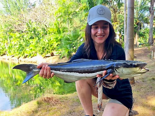 Cobia, Phuket Saltwater Fishing Park.