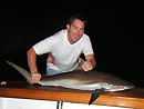 Copper Shark from the Andaman Islands.