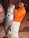 A nice Dogtooth Tuna.