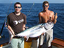 Dogtooth Tuna from the Andaman Islands.