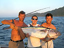 Dogtooth Tuna from the Andaman Islands.