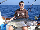 Dogtooth Tuna from the Andaman Islands.