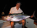 Dogtooth Tuna from the Andaman Islands.