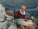 Dogtooth Tuna from the Andaman Islands.