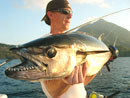 Dogtooth Tuna from The Andamans.