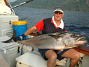 Massive Dogtooth Tuna!