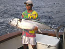 Big Dogtooth Tuna.