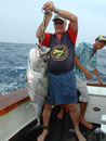 Weighing a nice Dogtooth Tuna.