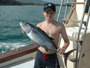 Dogtooth Tuna from the Similan Islands.