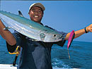 Dogtooth Tuna from the Similan Islands.