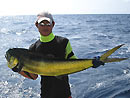 Dorado from the Similan Islands.