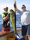 Dorado on a live-aboard trip.