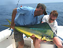 Dorado from the Similan Islands.