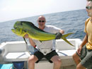 Dorado from Racha Islands Phuket.