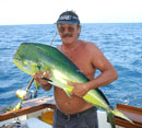 Dorado from The Andamans.