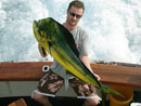 Dorado from the Similan Islands.