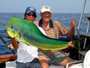 Dorado from The Andamans.