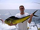 Dorado from the Similan Islands.