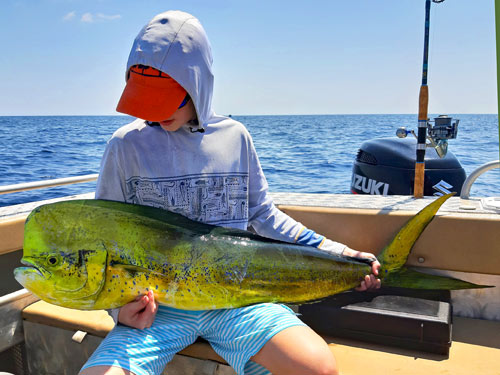 Huge Dorado