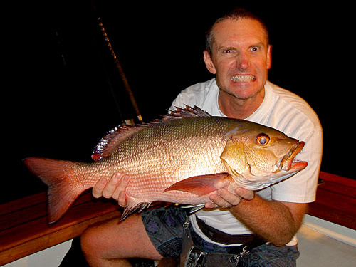 Red Sea Bass.