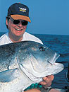 Giant Trevally ready for release.