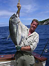 Similan Giant Trevally.