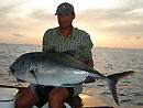 Giant Trevally from Similans.