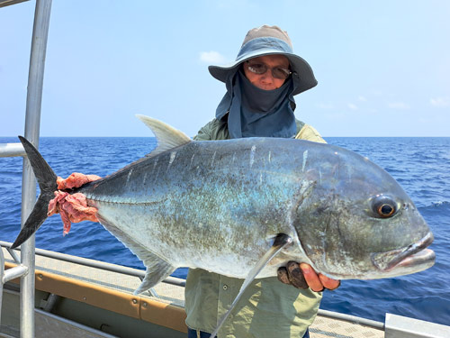 Huge GT! Similans.