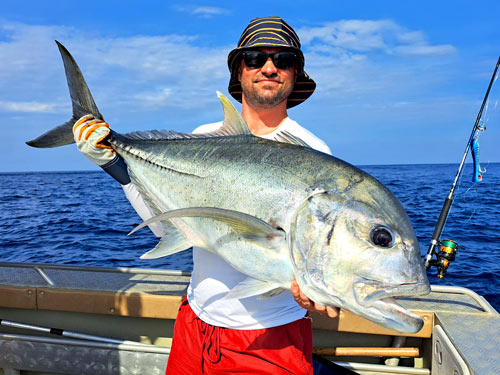 Giant Trevally