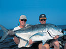 Giant Trevally from the Andaman Islands.