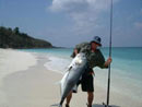 Giant Trevally of the beach.