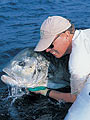 Giant Trevally release.