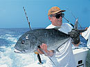 Giant Trevally from the Andaman Islands.