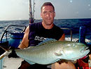 Dave with a nice Green Jobfish.