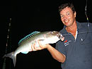 Green Jobfish from the Andaman Islands.